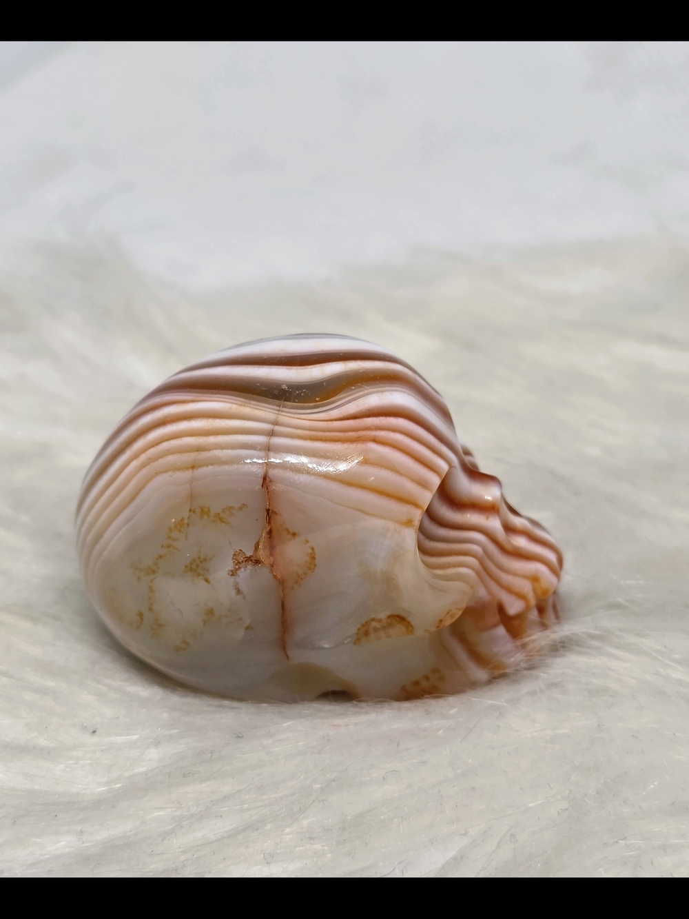 💀 Madagascar Banded Carnelian Skull | Premium Crystal Skull | Collector Alter - Picture 3 of 8